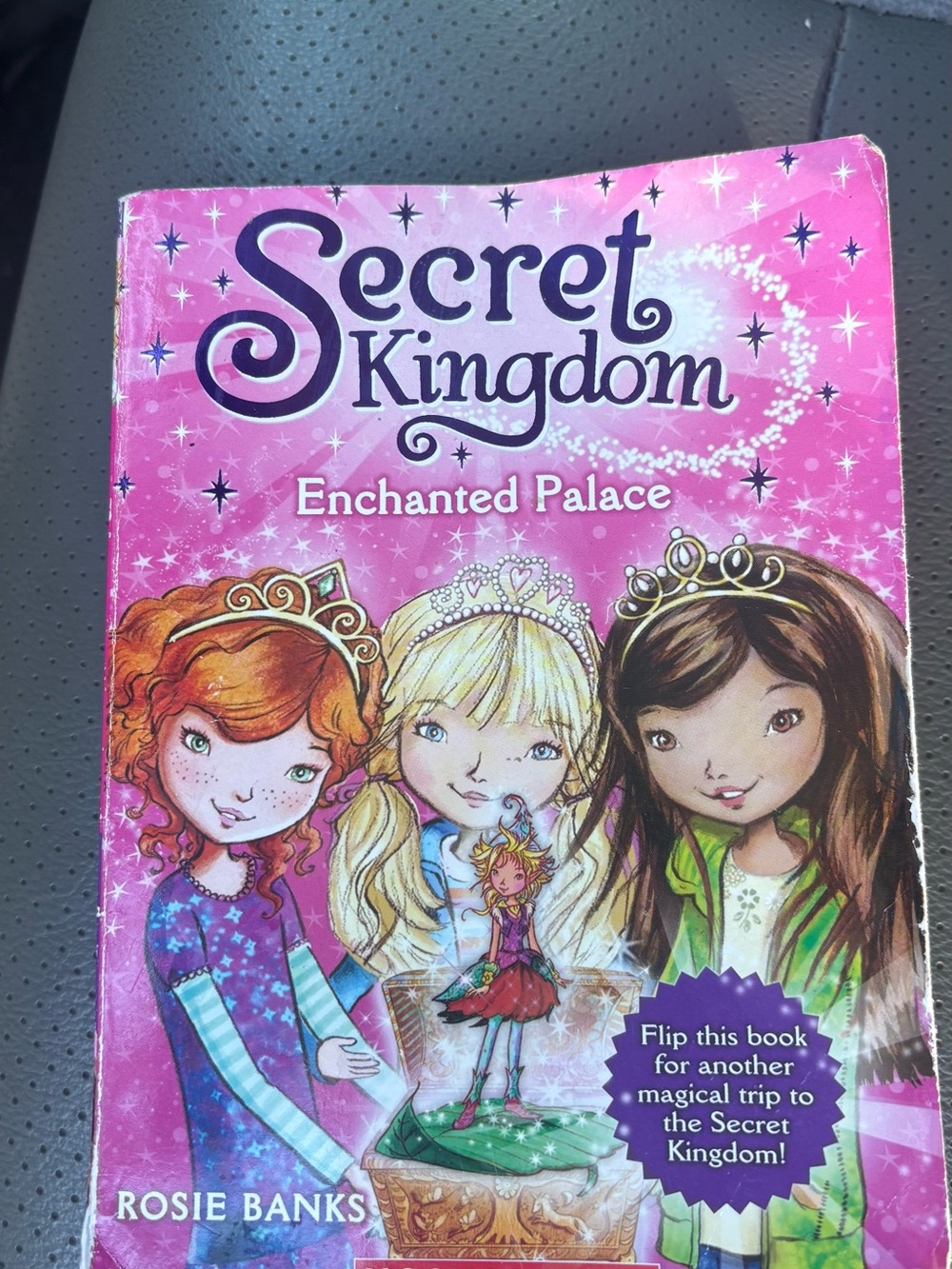 Secret Kingdom Enchanted Palace Kids Book - Pink